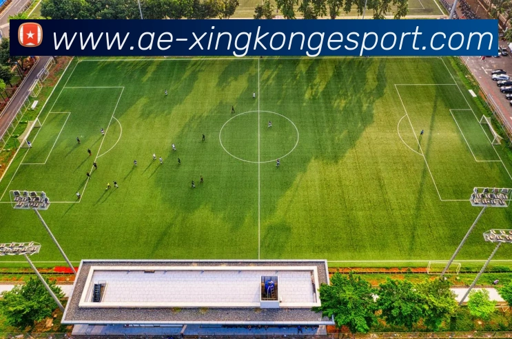 多媒体互动体验